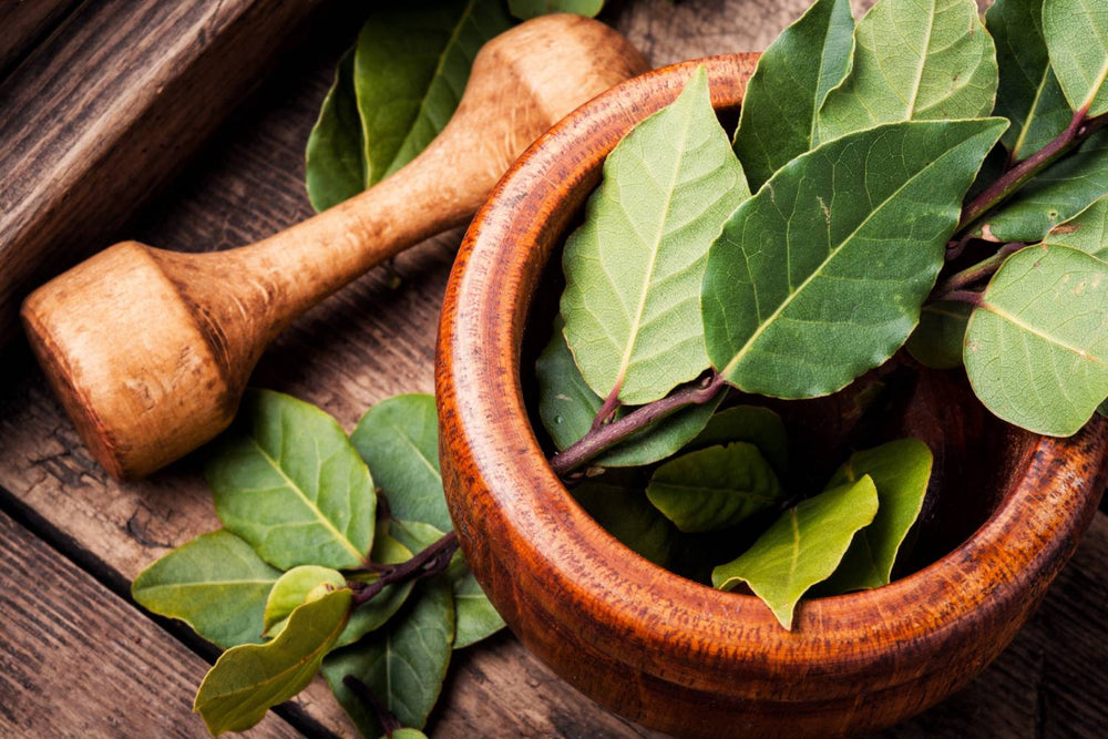 The Surprising Benefits of Bay Leaves: What You Didn't Know