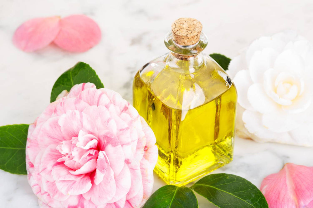Tsubaki Oil (Camellia Seed) for Hair: Benefits and How to Use