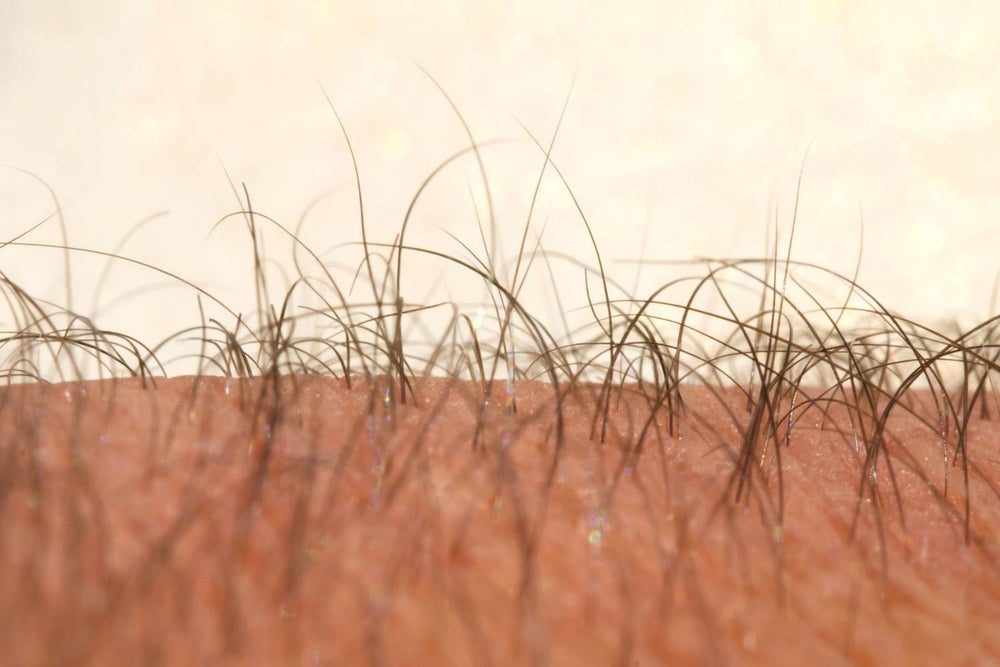 Vellus Hair: What Is It and How Does It Grow?