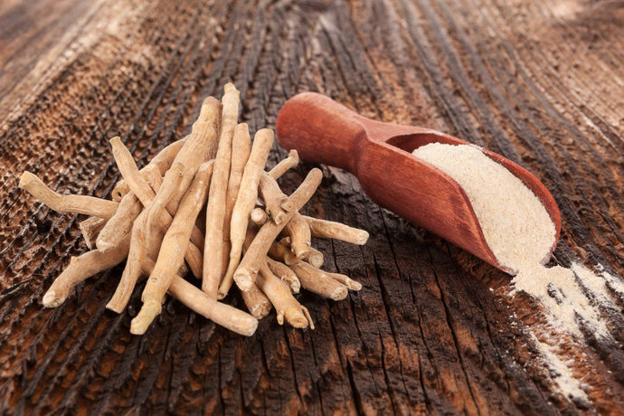The Amazing Benefits of Ashwagandha: How This Powerful Herb Can Change Your Life