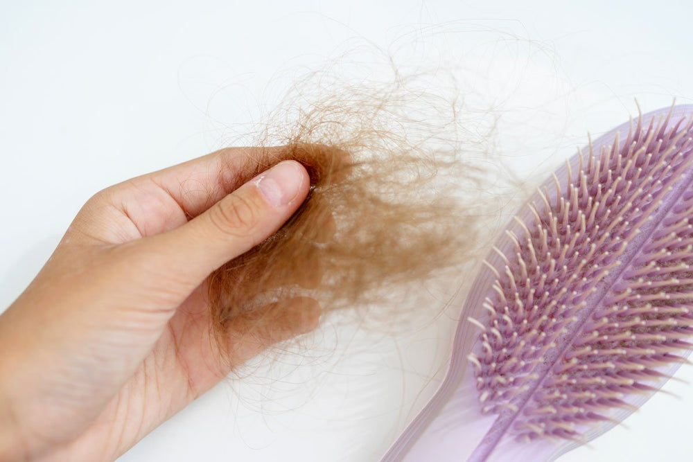 Grow Healthy Hair: The Causes of Hair Loss