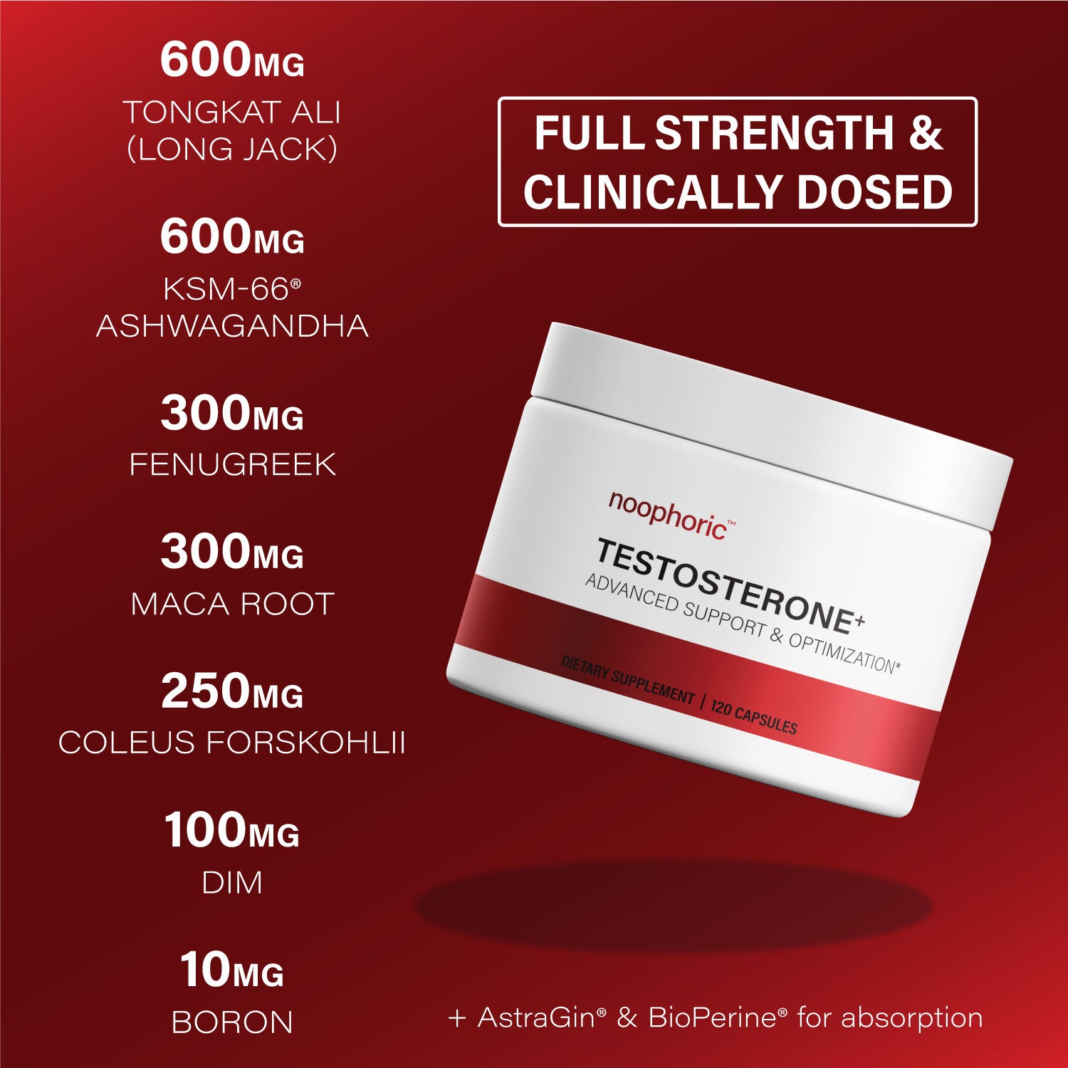 Noophoric Testosterone+