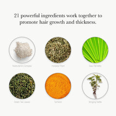 Hair-Ingredients-Listing-Compressed_4f695b21-3a8b-469a-95e8-e3d3ed33861f-Noophoric