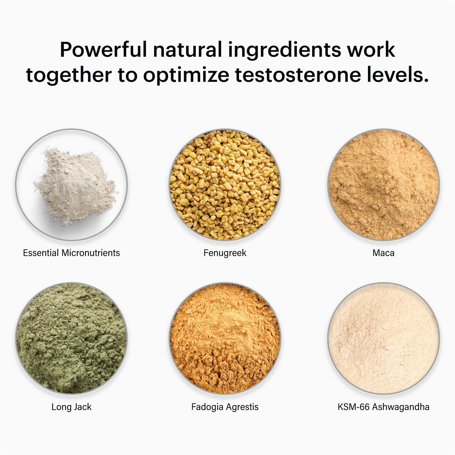 Noophoric-Testosterone-Shopify-Highlighted-Ingredients-Noophoric